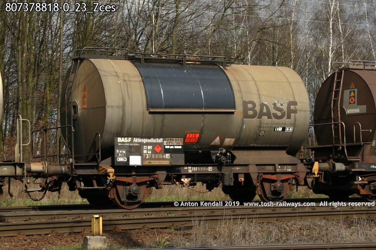 807378818-0_23_Zces.jpg